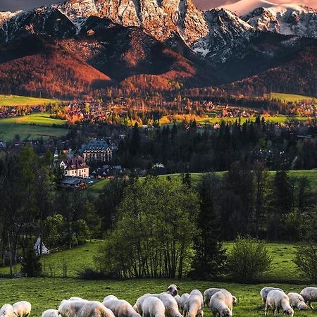 Villa Jumper Widok Na Cale Tatry Lazienka Nie Jest W Pokoju زاكوباني المظهر الخارجي الصورة