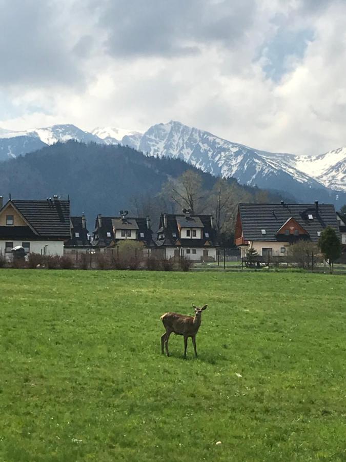 Villa Jumper Widok Na Cale Tatry Lazienka Nie Jest W Pokoju زاكوباني المظهر الخارجي الصورة